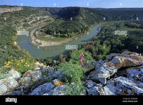Vue panoramique des gorges du Gardon en été