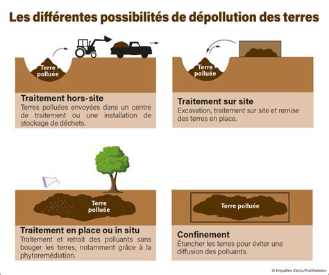 Infographie comparant les méthodes de dépollution des sols : phytoextraction vs phytostabilisation