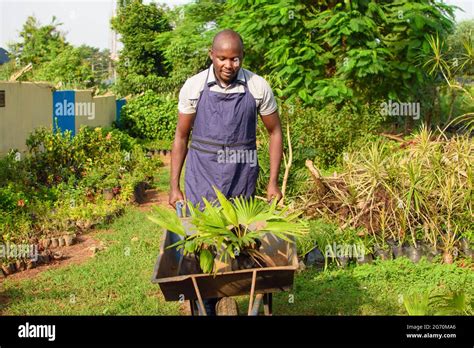 Un jardinier portant un tablier robuste en train de tailler des plantes