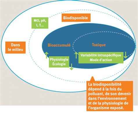 Schéma explicatif de la biodisponibilité des nutriments en fonction du pH