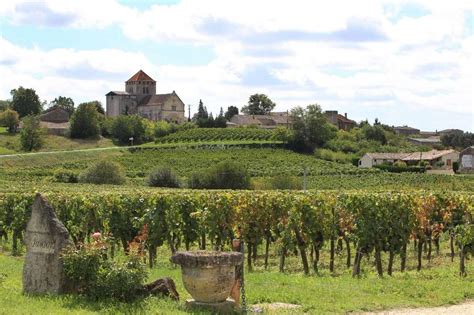 Paysage viticole typique de la région de Saint-Émilion