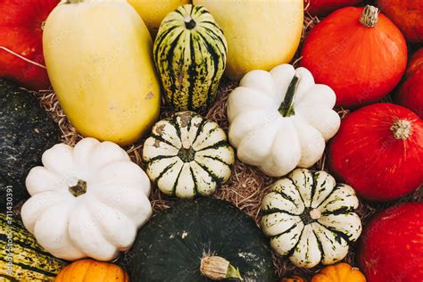 Assortiment de courges d'hiver colorées sur un étal de marché