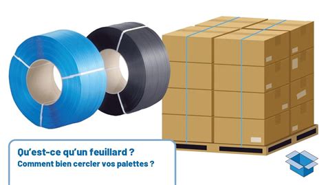 Schéma comparatif des différents types de feuillards et leurs usages