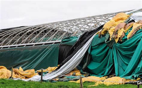 Tunnel de culture endommagé par une tempête