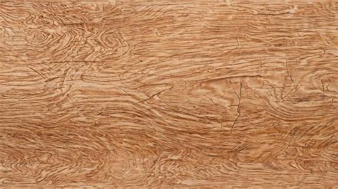 Illustration détaillée de la texture du bois de noisetier et sa résistance aux intempéries