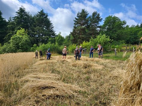 Une ancienne fruitière pyrénéenne, témoin d'un savoir-faire ancestral
