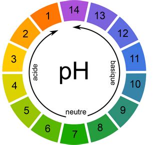 Nuancier de couleurs d'Hortensia selon le pH du sol