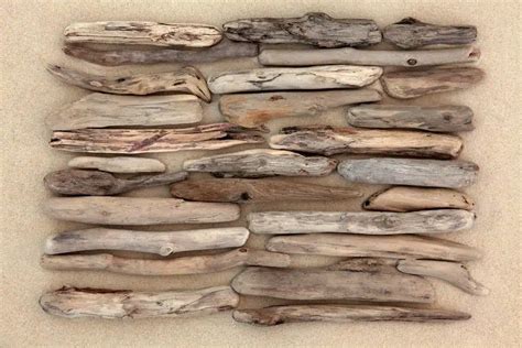 Des morceaux de bois flotté de différentes formes sur une plage