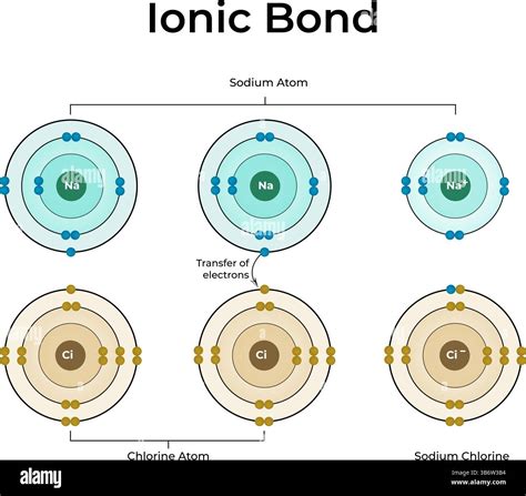 Illustration of Si-C bond formation in surface grafting