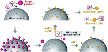 Infographic on surface modification of nanoparticles