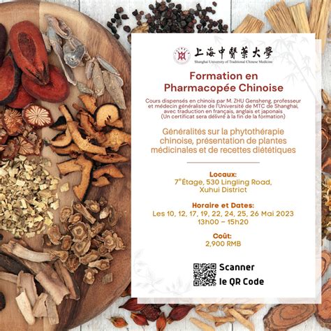 Racines d'Astragale séchées, utilisées en pharmacopée chinoise