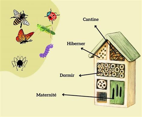 Diagramme montrant les différents matériaux et leurs occupants dans un hôtel à insectes