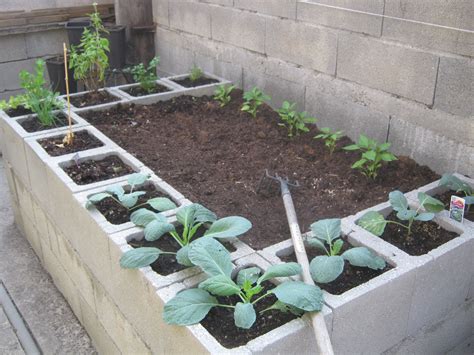 Plan de jardin surélevé avec blocs de béton
