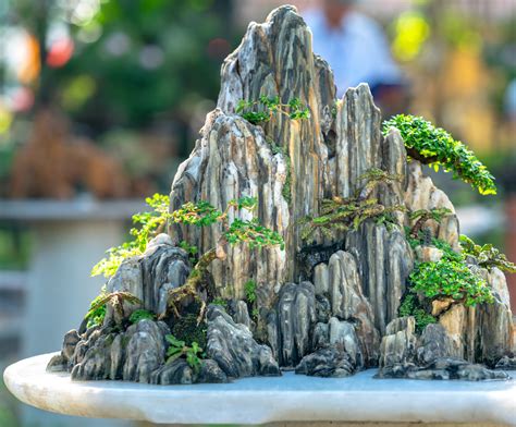 Penjing bonsai traditionnel