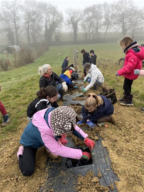 Enfants plantant des arbres lors d'un atelier éducatif organisé par l'association
