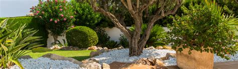 Vue panoramique d'un jardin paysager méditerranéen avec pelouse naturelle soignée à Saint-Jean-Cap-Ferrat