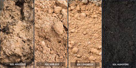 Comparatif visuel entre un sol traité à la chaux et un sol non traité