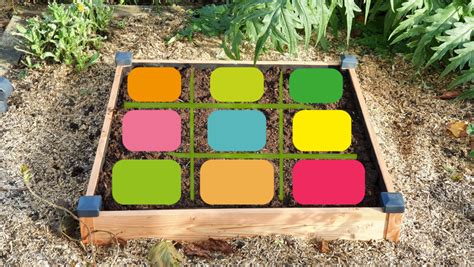 Schéma explicatif d'un carré potager divisé en sections