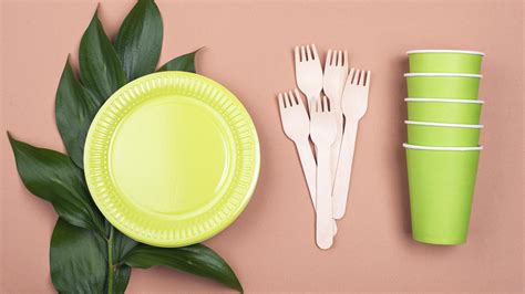 Assortiment de vaisselle jetable écologique