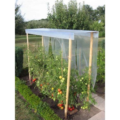 Abri pour tomates dans un potager