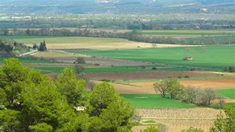 Vue panoramique des vergers de la plaine de la Durance autour de Cavaillon
