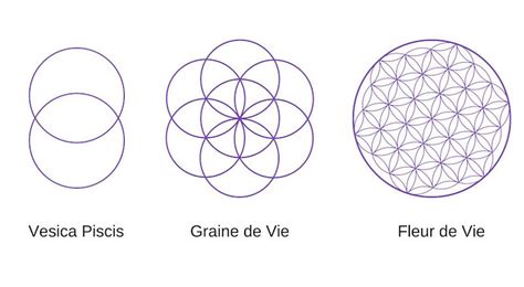 Représentation graphique de la Graine de Vie