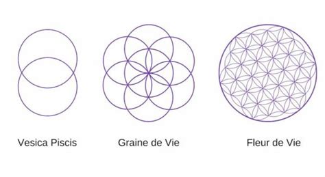 Comparaison entre la Graine de Vie et la Fleur de Vie